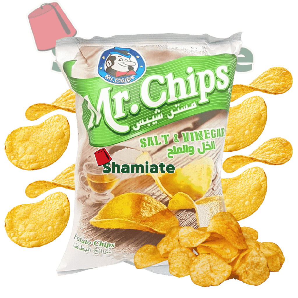 Chips (Mr. Chips, Vinegar and Salt, 75 gm, 20 Pieces)