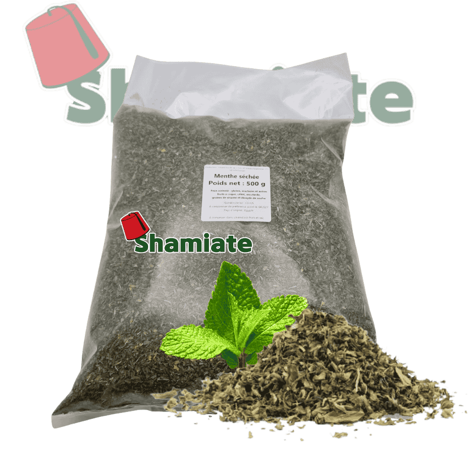 Dried Mint (Jasmeen, 500 gm, 1 Piece)