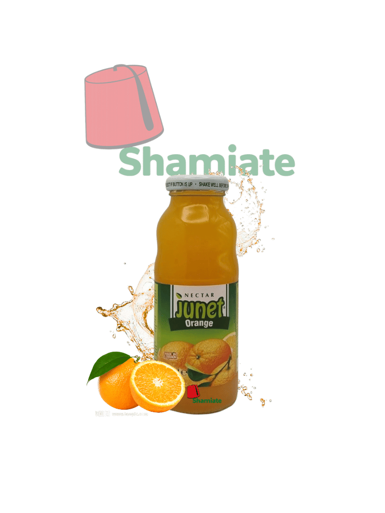 Orange Juice (Junet, 250 ml, 24 units)
