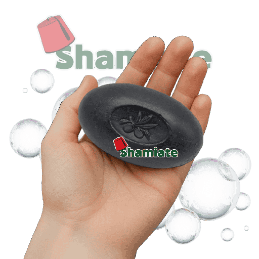 [001695 Aleppo Soap (Bakhour Maryam, Natural with Olive Oil and Nigella Seeds, 140 gm, 1 Piece) Savon D'Alep (Bakhour Maryam, Naturel à L'huile d'olive et de Grains de Nigelle, 140 gm, 1Pièces) Savon D'Alep (Bakhour Maryam, Naturel a L'huile d'olive et de Grains de Nigelle, 140 gm, 1Pieces)صابون حلب (بخور مريم طبيعي بزيت الزيتون وحبة البركة، 140 غرام، قطعة واحدة) ] Savon D'Alep (Bakhour Maryam, Naturel à L'huile d'olive et de Grains de Nigelle, 140 gm, 1Pièces)