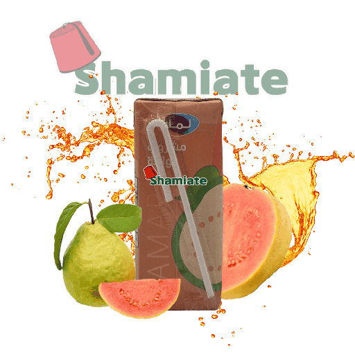 [001712 Drink (Lamar, Guava, 200 ml, 27 Pieces) Boisson (Lamar, Goyave, 200 ml, 27 Pièces) Boisson (Lamar, Goyave, 200 ml, 27 Pieces)مشروب (لمار، جوافة، 200 مل، 27 قطعة) ] Drink (Lamar, Guava, 200 ml, 27 Pieces)